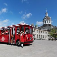 Trolley Tours